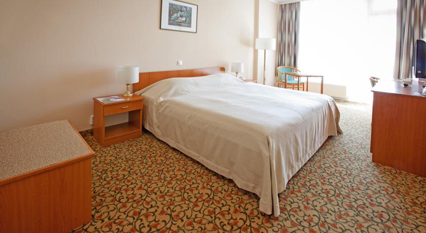 Image #2 - Hotel Aranyhomok - Kecskemét