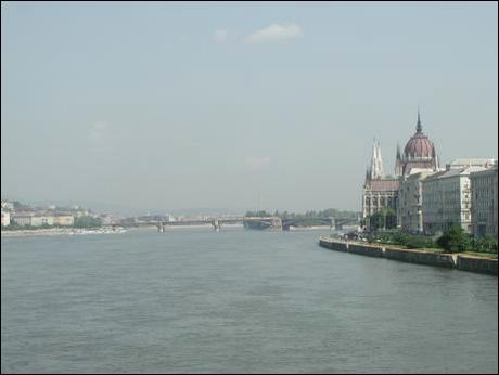 The Parliament