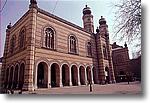 The Synagogue